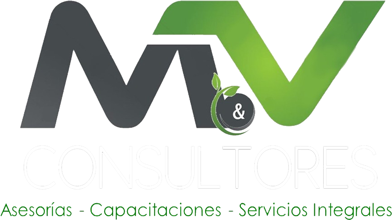 M&V Empresas